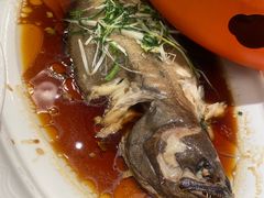 -渔人码头(中南店)