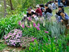 -人民公园(罗湖区)