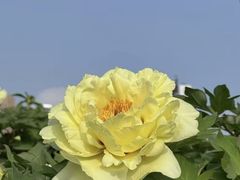 -水邑嘉年华酒店·中餐部(鄄城店)