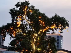 -黄兴南路步行商业街