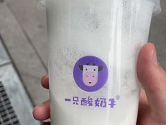 -一只酸奶牛(八一路店)
