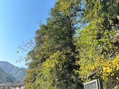 -藏龙百瀑风景区