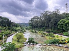 -东莞植物园