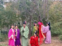 -桃花堤公园