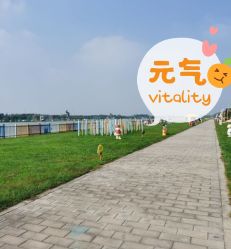 -大美儿童世界(奥林匹克水上公园店)