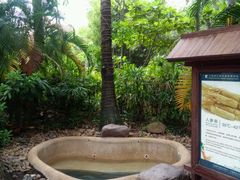 -三亚珠江南田温泉度假区