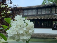 -豫园