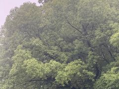 -杭州龙禧福朋喜来登酒店