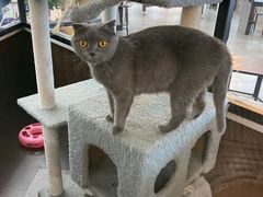 -弓舍射箭俱乐部(高新总店)