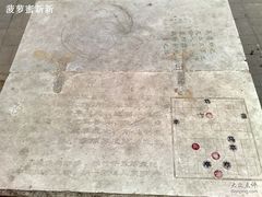 -紫竹院公园冰场