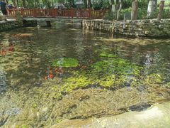 -水磨沟公园