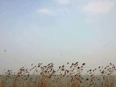 -苏州吴中太湖旅游区