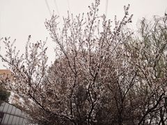 -星湖街(地铁站)