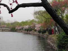 -无锡蠡湖国家湿地公园-蠡园