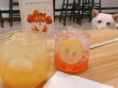 -柴迷FANS CLUB·柴犬狗咖·猫咖
