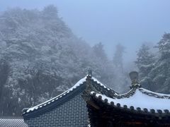 -秦岭天竺山景区