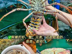 -三亚亚特兰蒂斯度假区