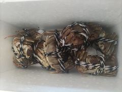 -黄商生活超市(黄冈黄州万达店)