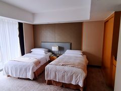 -佛山岭南天地康得思酒店