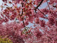 -白沙门生态公园