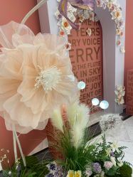 -尊尚柏丽美容SPA