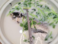-紫藤园·天目湖大鱼头(南山竹海店)