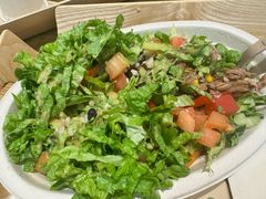 -油梨树 AVOCADO TREE(亮马桥店)