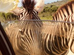 -南京金牛湖风景区