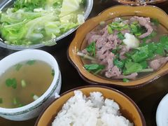 白菜-小杨翘脚牛肉