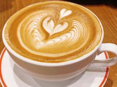 -Elephant Grounds(STARSTREET)