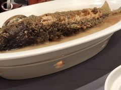 红烧黄河大鲤鱼-阿庄新豫菜(航海东路店)