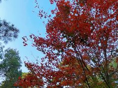 -香山公园