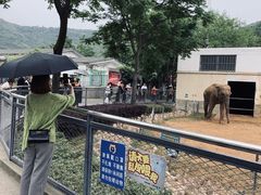 -无锡动物园·太湖欢乐园