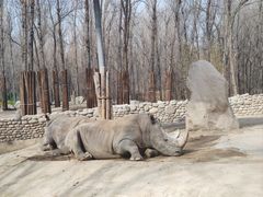 -北京野生动物园