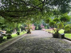 -海口火山口国家地质公园