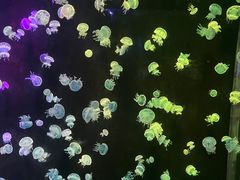 -欢乐海岸海洋奇梦馆