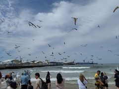 -海驴岛(荣成市)