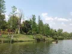 -两江国际影视城