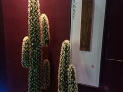 -海韵足道(泰合广场店)