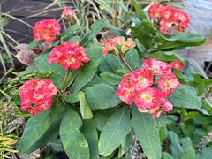 -北京植物园-展览温室