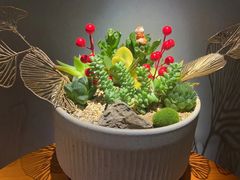 -霖公馆SPA·足道(普善路店)