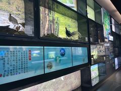 -珠海市博物馆