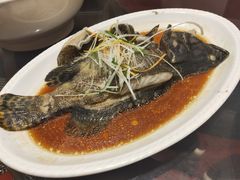 清蒸活龙胆鱼(一斤)-同君福大酒楼(紫新路店)