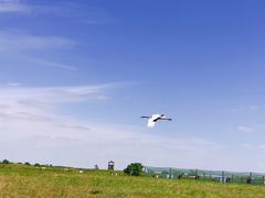 -盐城丹顶鹤湿地生态旅游区