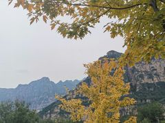 -孤山寨风景区