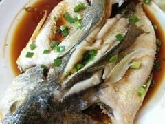 -鲜小岛·铜锅涮肉