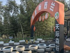 -莫干山风景区
