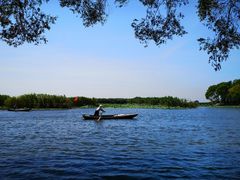 -洪湖生态旅游区