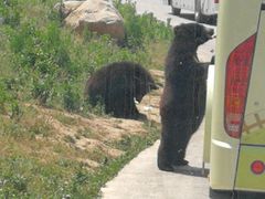 -西安秦岭野生动物园