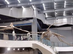 -辽宁古生物博物馆